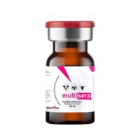 Multisera Kombine Antiserum