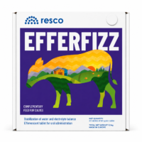 Efferfizz