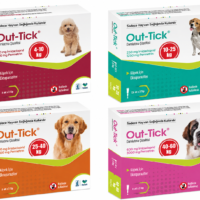 Out-Tick Damlatma Çözeltisi