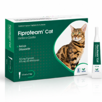 Fiproteam Cat Damlatma Çözeltisi