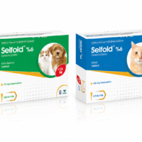 Selfold %6