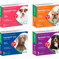 Fiproteam Dog Damlatma Çözeltisi