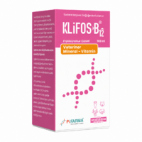 Klifos-B12