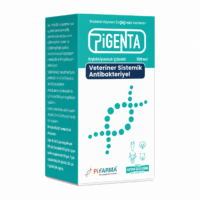 Pigenta