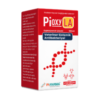 Pioxy LA