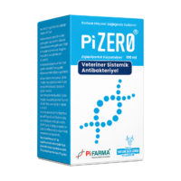 Pizero
