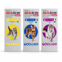 Bravecto Duact