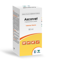 Ascorvet