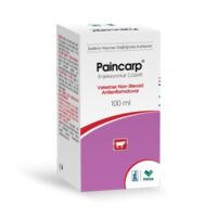 Paincarp