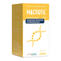 Macrotil