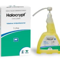Halocrypt