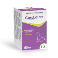 Coxduo Cat
