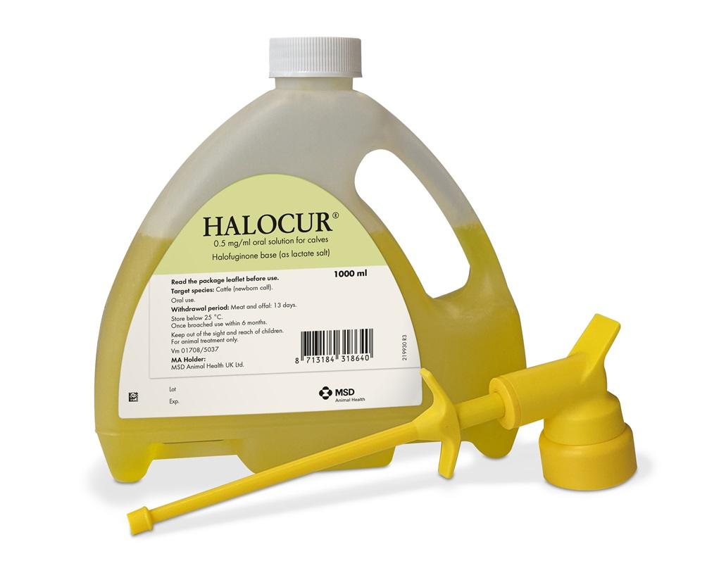 Halocur