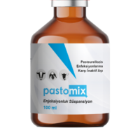 Pastomix