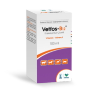 Vetfos-B12