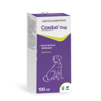 Coxduo Dog