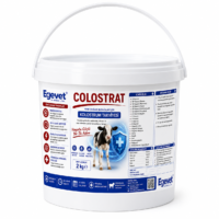 Calf Colostrat