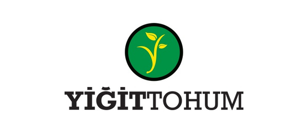 Yigit_Tohum