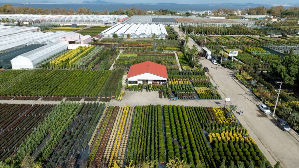 Aerial shot of a vibrant plant nursery with greenhouses in Yalova, Türkiye.